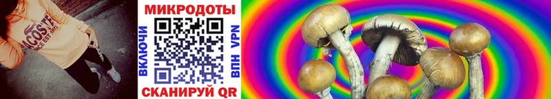 Псилоцибиновые грибы MAGIC MUSHROOMS Купить где Краснотурьинск